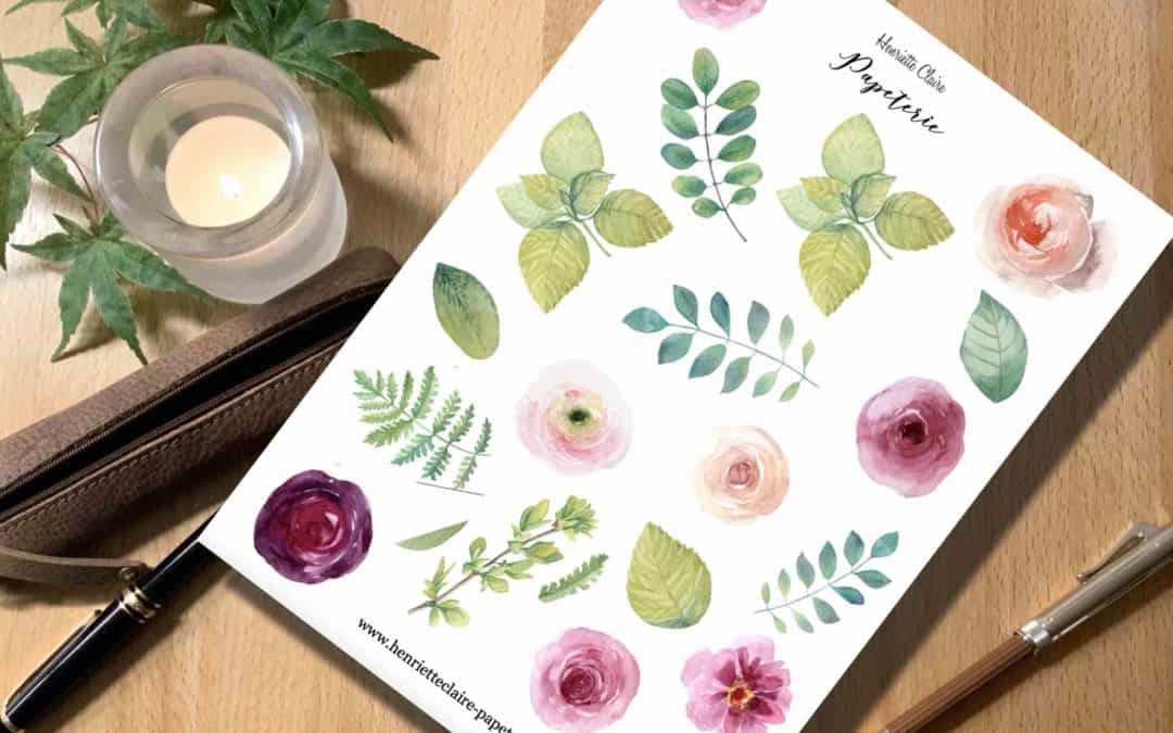 Aufkleber „Ranunkeln & hellgrüne Blätter”