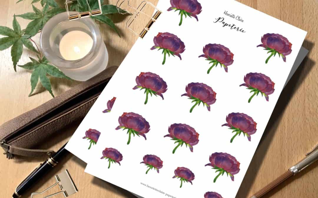 Aufkleber PFINGSTROSEN rosé violett handgemalt Aquarell