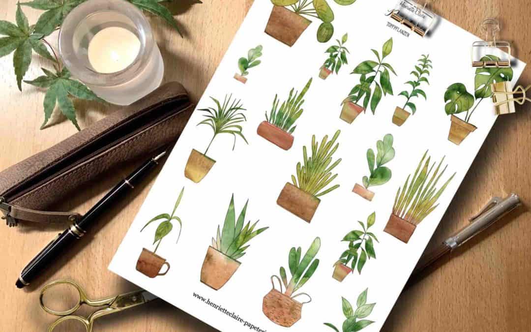 Sticker KAKTEEN TOPFPFLANZEN Aquarell