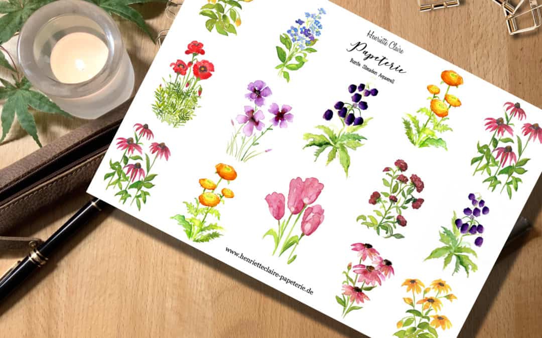 Aufkleber Frühlingsblumen Echinacea Vergissmeinnicht  Tulpen