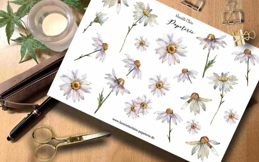 Aufkleber GÄNSEBLÜMCHEN II DAISIES Aquarell