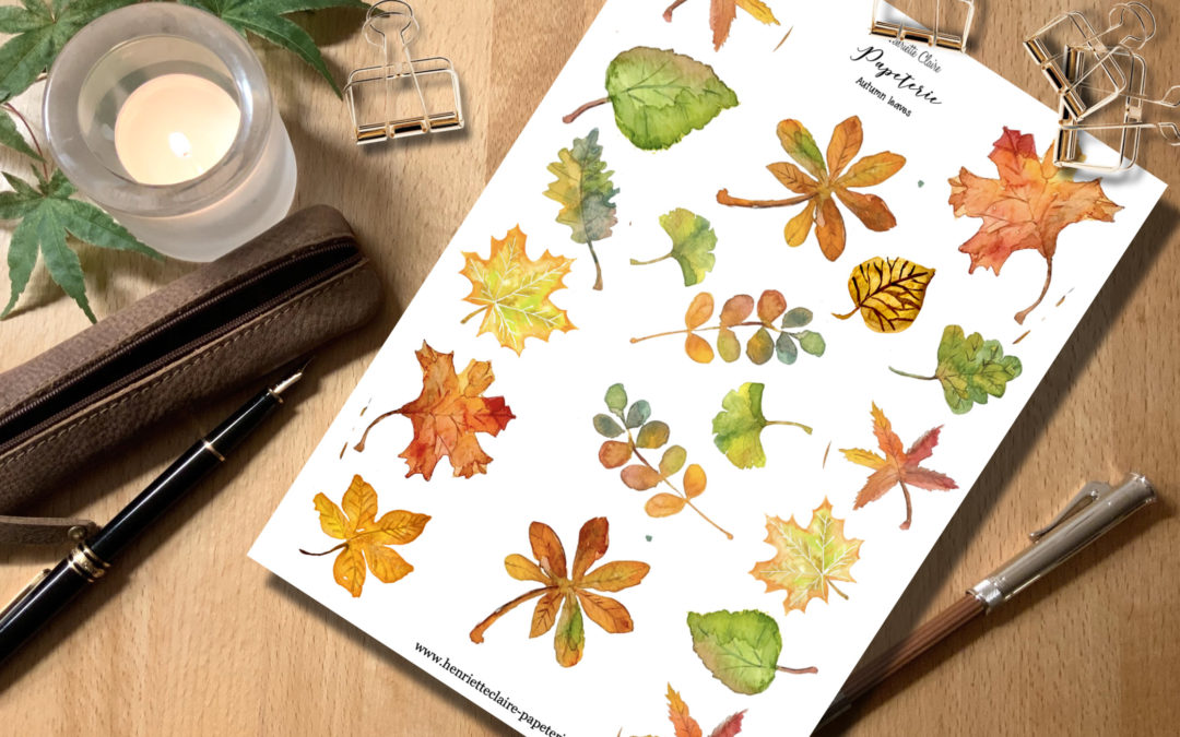 Sticker Herbstblätter Aquarell 🍁