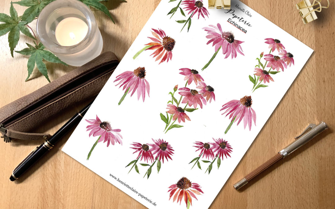 Aufkleber ECHINACEA Sonnenhut Aquarell