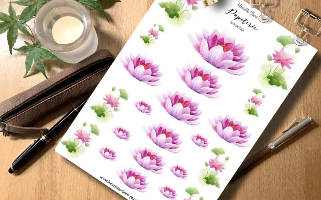 Aufkleber SEEROSEN Aquarell