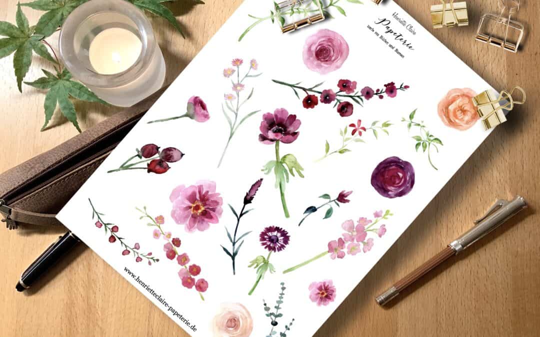 Rosen Blüten rosa zart